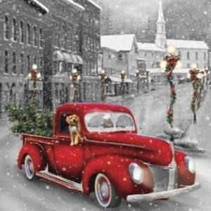 Meet your Posher, Nancy